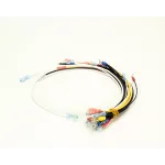 Antunes 0700580 Wire Harness Set