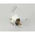 08027L Cecilware