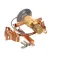 Master-Bilt 09-09758 Expansion Valve, Fbse-1/2-Zp-B