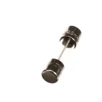 Electrolux Professional 090094 FUSE; 5X20T-125 MA-USA