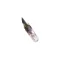 Electrolux Professional 0C0249 LAMP