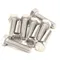 Electrolux Professional 0D0595 Hex Screw, Stainless Steel, 6x25, Set of 10