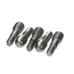 Electrolux Professional 0D4066 LOCKING SCREW; SET 5PCS; SPEEDELIGHT
