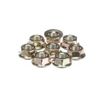 Electrolux Professional 0D6783 HU Nut, M5 Base, Set of 10