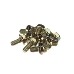 Electrolux Professional 0D6786 H Screw, Notched Base, Set of 10 Pieces, M6 x 12MM