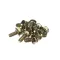 Electrolux Professional 0D6786 H Screw, Notched Base, Set of 10 Pieces, M6 x 12MM