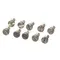 Electrolux Professional 0G2424 SCREW, M4X8, SET 10 PIECES