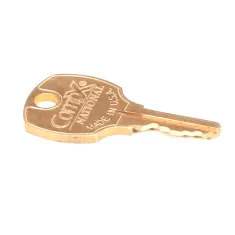 Electrolux Professional 0USAN0 KEY,LOCK