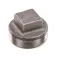 Market Forge 10-1152 Plug, 2"IPS, Square Head, Boiler Drain Box