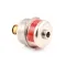 Market Forge 10-6156 Steam Trap, 5/8 OD Inlet