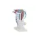 Elkay 1000002435 SOLENOID VALVE & REGULATOR ASSY KIT