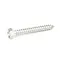 Rational 10.00.102 Screw, Hex Head, Self Tapping, B4.2 x 32