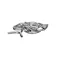 Lancer 1002114-BP25 SS ELBOW 1/2 BARB X 1/2 BARB,2