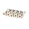 Rational 1003.2265 Screw, Countersunk, Self Tapping, 4.2 x 16