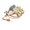Norlake 100638 VALVE EXPANSION SBFS-AA-ZP3/8X1/2ODF