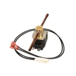 Ice O Matic 1011514-39 Hot Gas Valve Assembly, 120V, 50/60HZ
