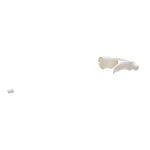 TurboChef 103182 Trigger Sprayer