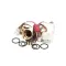 Rinnai 104000287 WATER HEATER SENSEI WATER FLOW SE