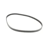 Univex 1061919 BELT,M60 (V726)