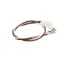Frymaster 1066682 HARNESS, TMT POWER LIGHT CC