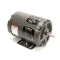 Champion - Moyer Diebel 107181 MOTOR 1/4HP MV/50-60/3 DRIVE - ODP