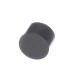 Rinnai 108000020 CAP