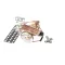 International Comfort Products 1082871 Thermo Expansion Valve, 2.5 Ton, Nonbleed Check