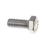 Rinnai 109000633 CLEANOUT BOLTS 5/16" X18" X3/4"
