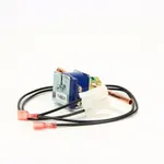 Scotsman 11-0562-21 Hot Gas Valve Kit