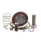 Champion - Moyer Diebel 110007 Repair Kit, 1" Asco Steam Valve