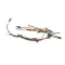 Doughpro Proluxe 110573050 Lower Platen Guide