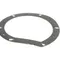 Champion - Moyer Diebel 111942 Gasket, Pump, 2 Notches, .015 Thick
