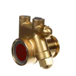 Lancer 111A100F11AA250 Procon Pump with Strainer, Brass