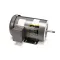Champion - Moyer Diebel 115589 Pump Motor, 3Hp, 208-230/460, 60Hz, 3Ph