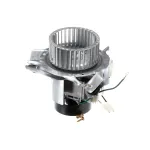 International Comfort Products 1183504 Draft Inducer Motor Assembly, 115v, 60HZ, 1 PH, Hi 3000 RPM, Low 2000 RPM