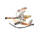 International Comfort Products 1185611 TXV/Expansion Valve Kit