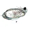 Southbend Range 1198897 HARNESS,CONTROL,120V,CCH,NRG