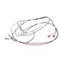 Bunn 12576.0008 WIRING HARNESS, H5 DGTL DSPL 208V/240V