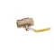 Dormont 125FV 1-1/4 FIP X 1-1/4 FIP (FULL PORT VALVE)