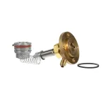 Vogt Ice 12A4199V45 REPAIR KIT, VALVES, #KS-0E34S