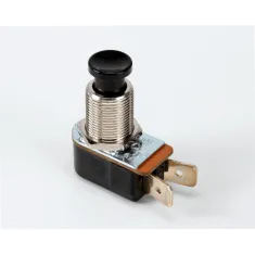 APW Wyott 1300230 Switch, Push Button, SPST, Light