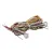 14560P004 Winston