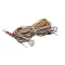 Winston 14560P004 Wire Harness Asembly