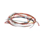 Groen 146191 Wire Harness, Low Voltage Control, Gas, BPM-30G/40G