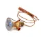 International Cold Storage 14753 FBSE-1/2-ZP (1.5HP HERM W2FAN