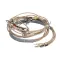 Groen 148560 Wire Harness, Elements, 208/240V, BPM-30E
