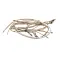 Groen 149292 Wire Harness, Elements, 480 Volt, BPM40E