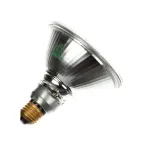 Hickory 149 Lamp, Halogen, 115 Volt, H90PAR38/FL