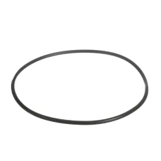 Everpure 151122 O-Ring, Housing, 5 1/2" ID, EPDM, BB, UPC, Black