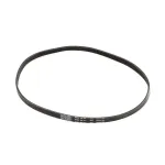 Stoelting 152286 Poly-V Belt, Ribbed, 38", 380J6